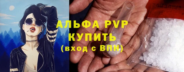 ешки Гусев