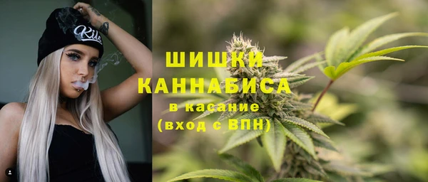 дмт Горнозаводск