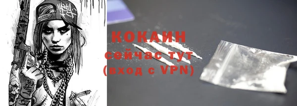 дмт Горняк