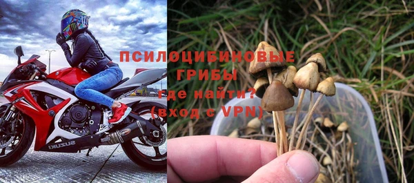 ешки Гусев