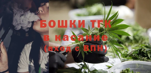 ешки Гусев